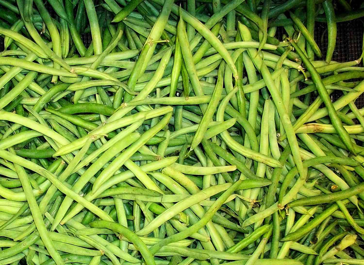 Ejote (250g)