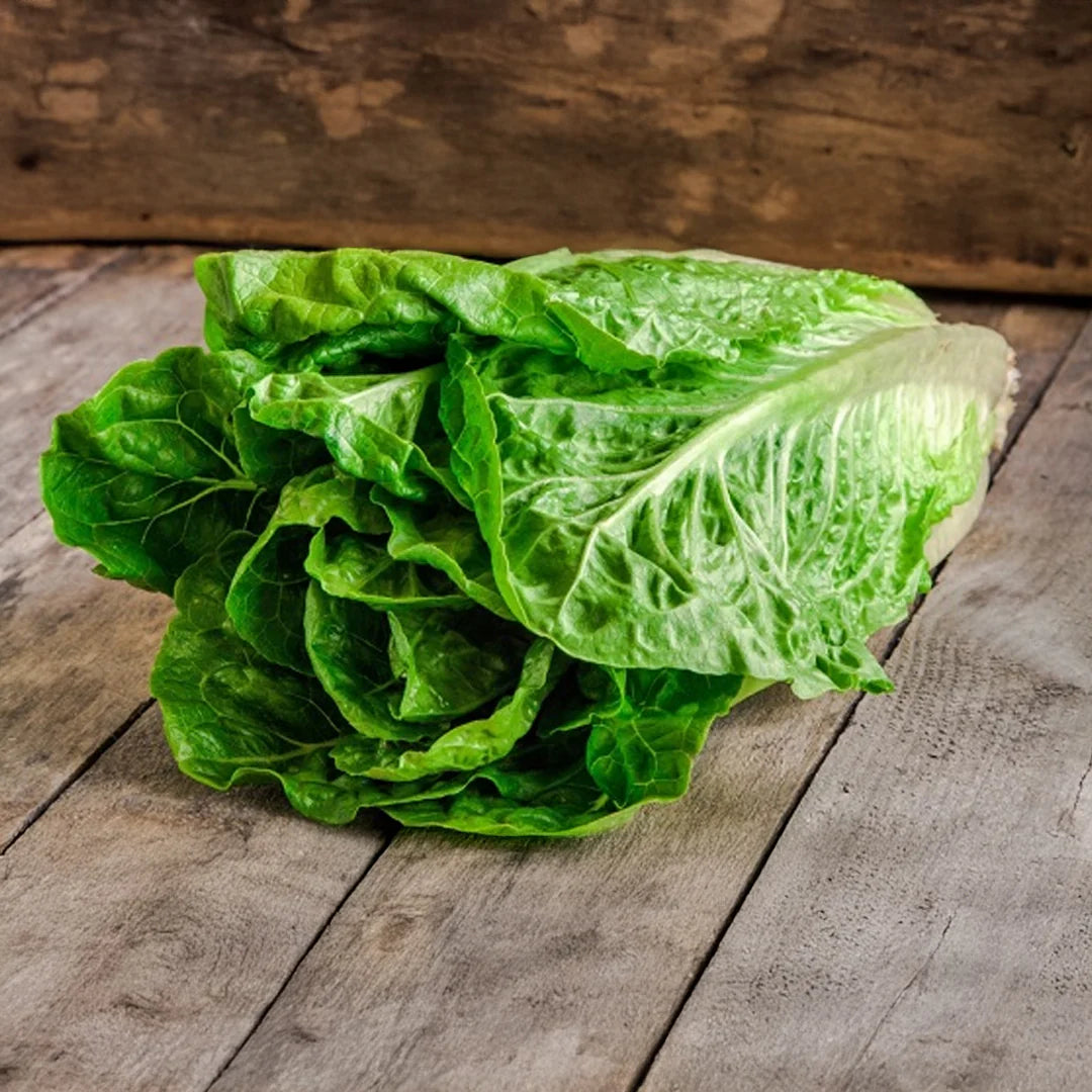 Lechuga Orejona (pza)