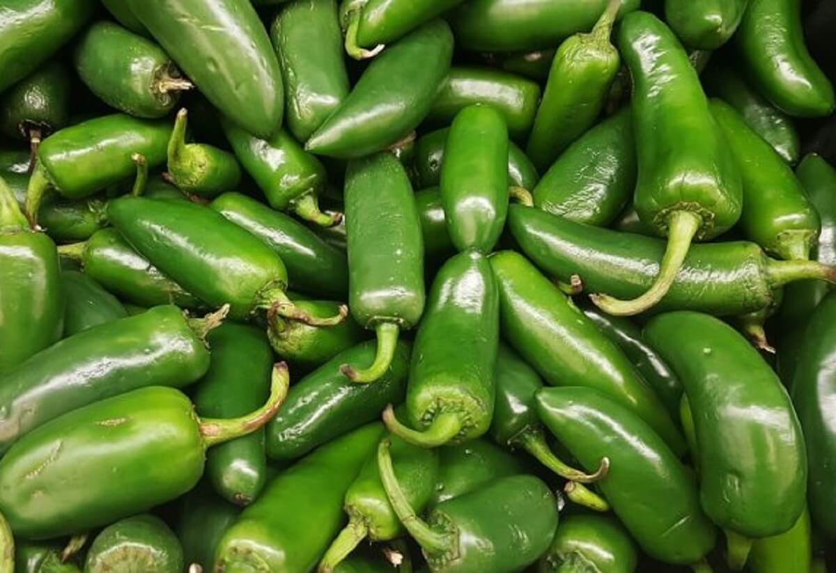 Chile jalapeño (Cuaresmeño 100g)