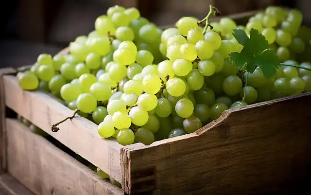 Uvas
