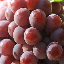 Uvas