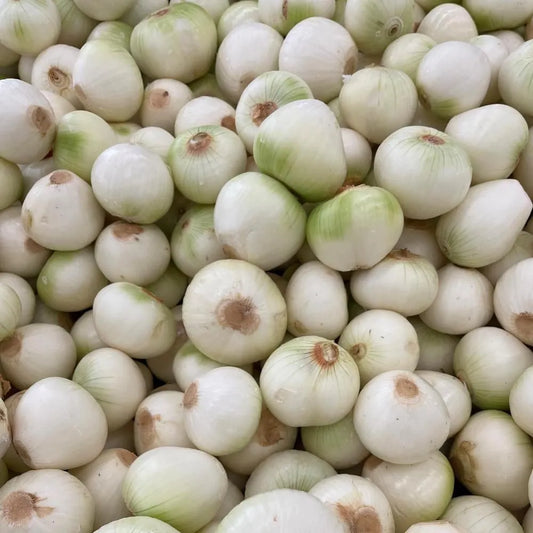 Cebolla Blanca