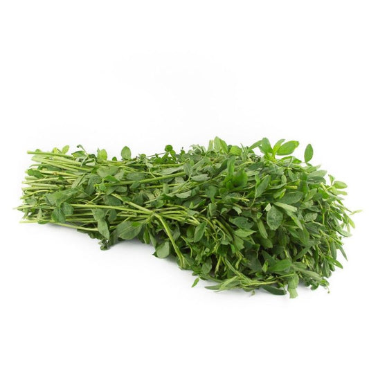 Alfalfa (mjo)