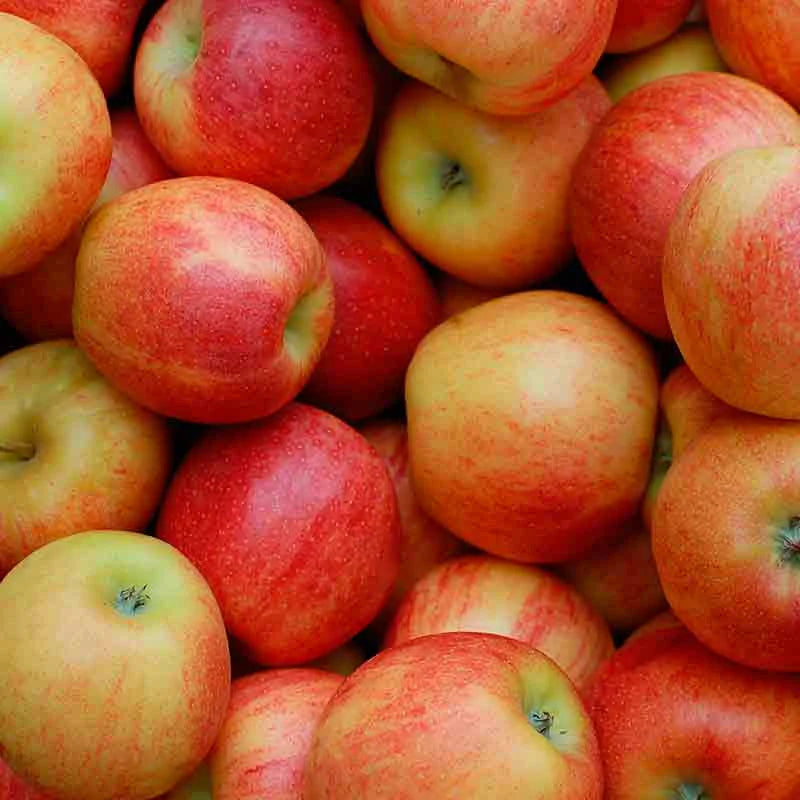 Manzana
