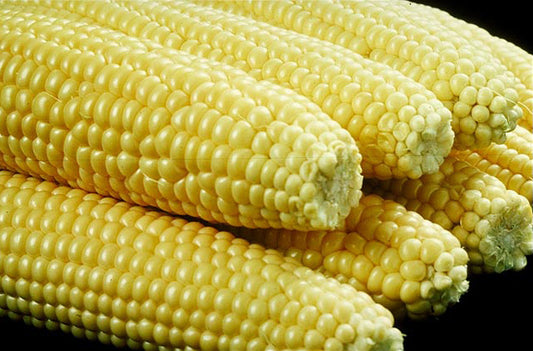 Elote (pza)