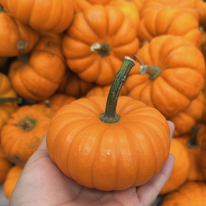 Calabaza de castilla (½ kg)
