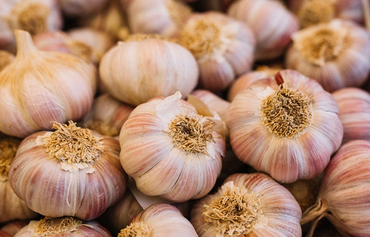 Cabeza de Ajo