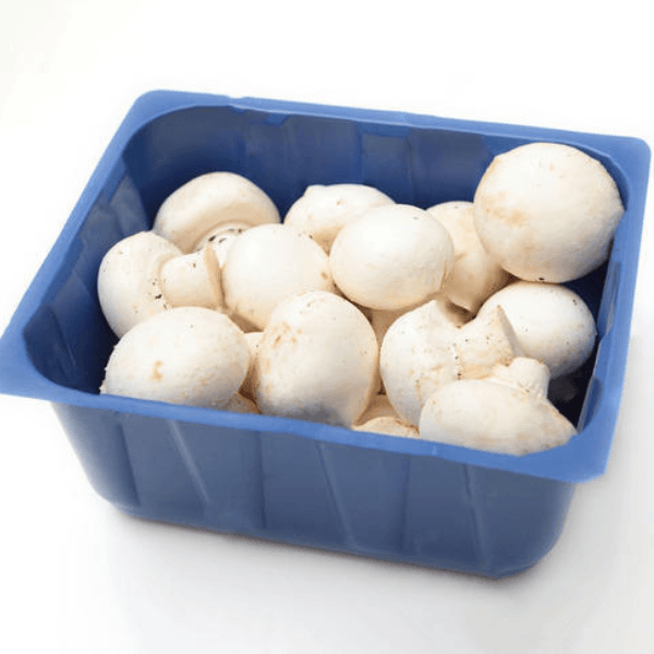 Champiñones (Charola)