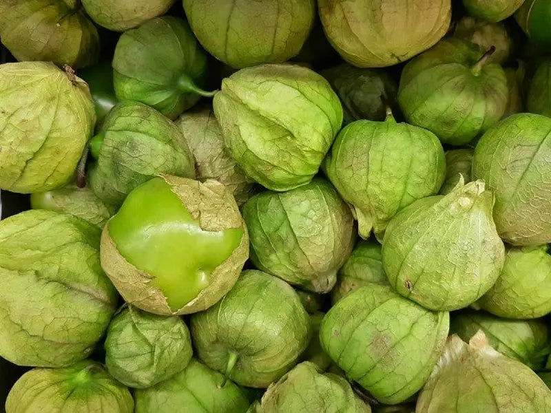 Tomatillo verde