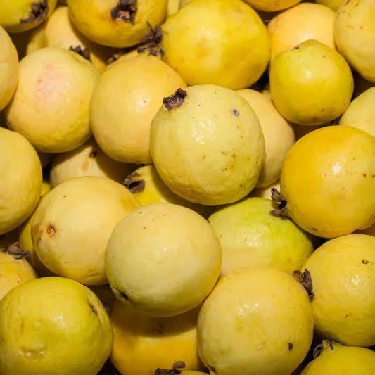 Guayaba