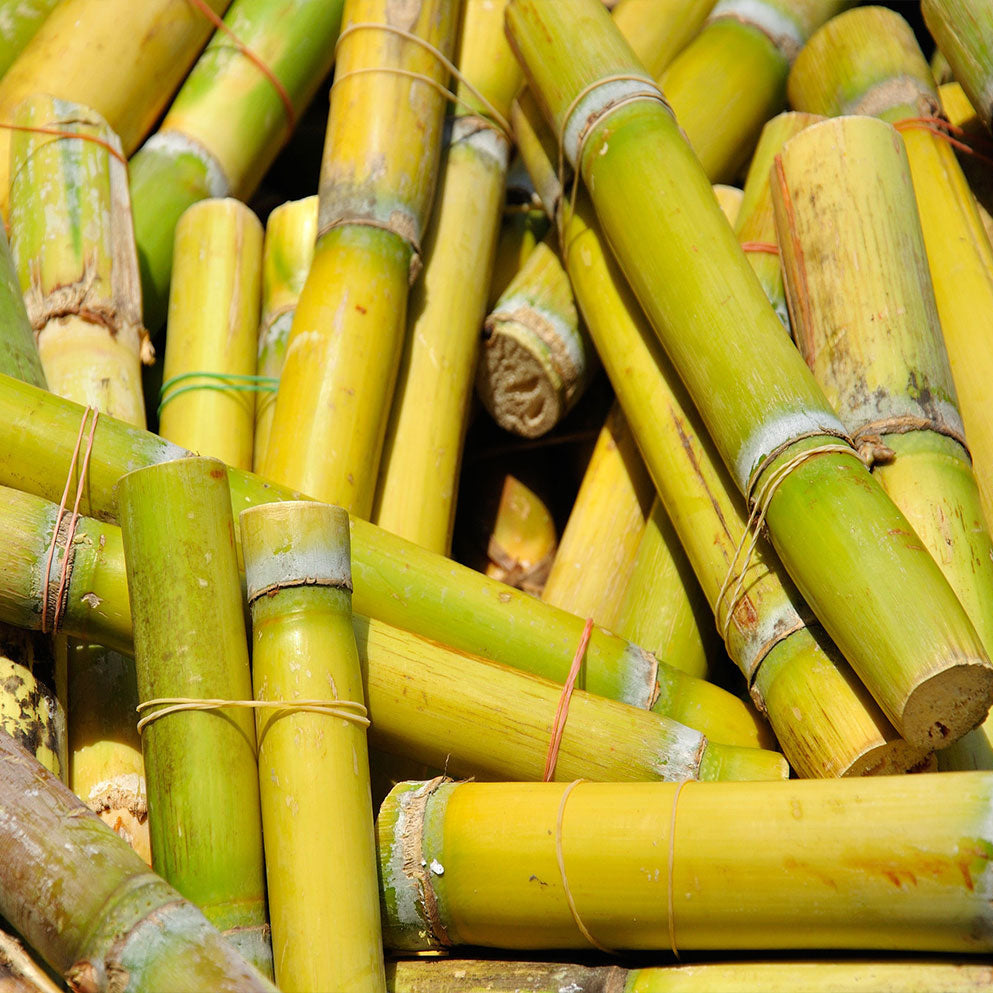 Caña de azúcar (½ kg)