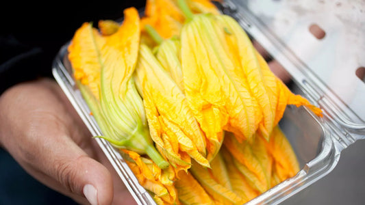 Flor de calabaza (charola)