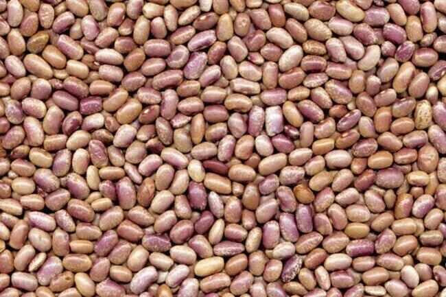 Frijol Mayo