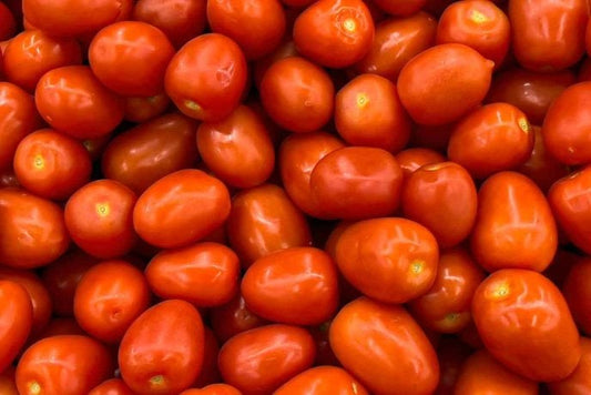 Jitomate saladette