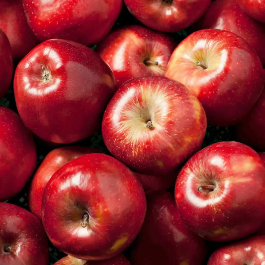 Manzana
