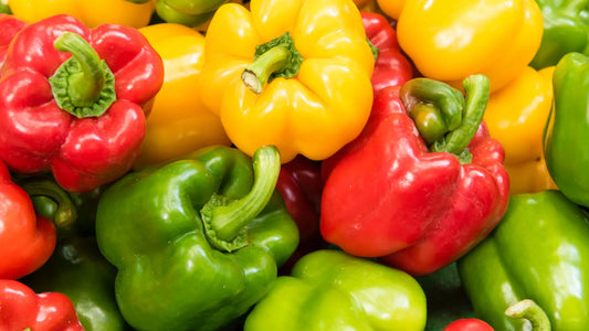 Pimiento