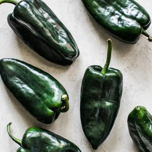 Chile Poblano (½ kg)